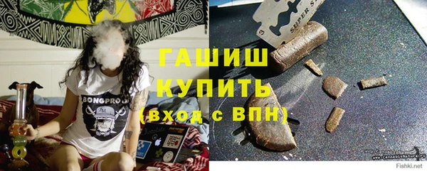 прущие грибы Иннополис