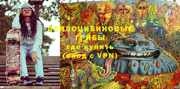 гидра Инта
