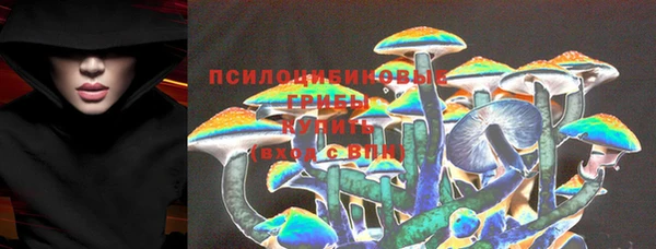 прущие грибы Иннополис